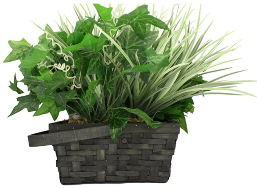 Amazon.com : SC70404K - Xtreme Life 2160P DVR PIR Plant : Electronics